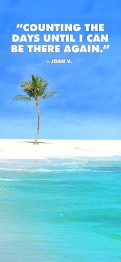 a palm tree sitting on top of a beach next to the ocean with a quote from john v