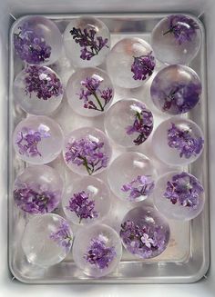 purple flowers are placed in clear glass balls