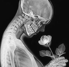 an x - ray image of a skeleton holding a rose in its hand and looking at it