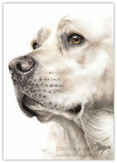 a drawing of a dog's face with yellow eyes