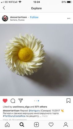 a white flower sitting on top of a table next to an instagram page with the caption's name below it