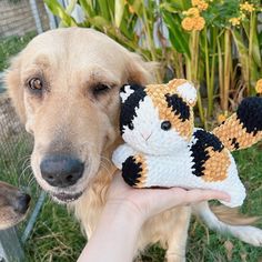 a dog is holding a stuffed animal in its mouth while it looks at the camera