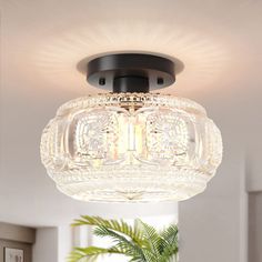 a ceiling light that is hanging from the ceiling in a room with a potted plant