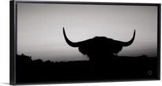 a black and white photo of an animal's head with long horns in the dark