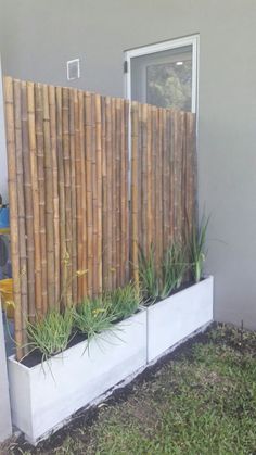 a bamboo fence with plants growing in it