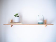 a shelf with two books and a potted plant sitting on it's side