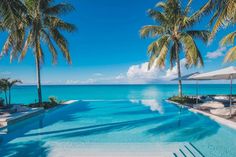 an empty swimming pool surrounded by palm trees