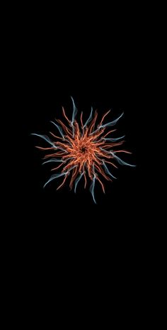 an orange and blue firework on a black background with space for text or image