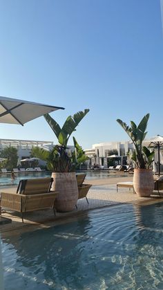 two large potted plants sitting on top of a swimming pool next to lounge chairs