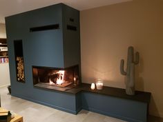 a living room with a fire place and cactus in the corner next to it's fireplace