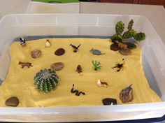 a plastic container filled with yellow liquid and lots of different types of rocks in it