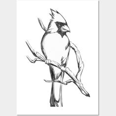 a black and white drawing of a bird on a branch