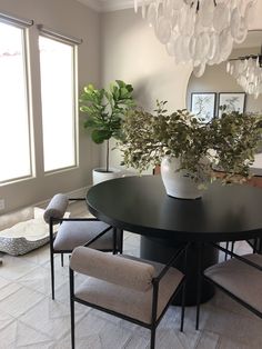 a dining room table with four chairs and a potted plant in the center on top