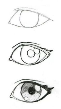 three different types of eyes are shown in this drawing