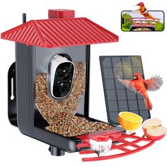 a bird feeder with two birds sitting on it's side and an orange bird in the background