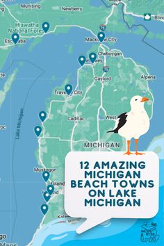 a seagull is standing on top of a sign that reads amazing michigan beach towns on lake michigan