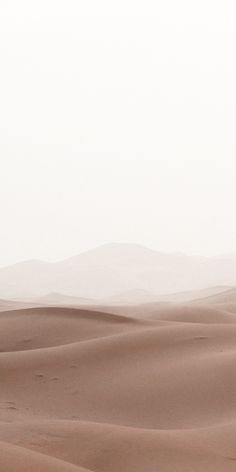 two people walking in the desert with their camels