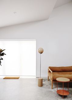 a living room filled with furniture and a potted plant