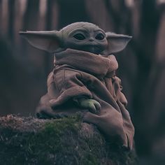 a baby yoda doll sitting on top of a moss covered rock with trees in the background