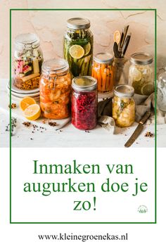 Augurken inmaken Fermented Vegetables Recipes, Nutritional Therapist, Gut Health Recipes, Fermentation Recipes, Fermented Vegetables, Dinner On A Budget, Healthy Meals To Cook, Trending Recipes, Pickling Recipes