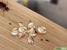 a bed bug crawling on top of a wooden table next to some dead flower petals