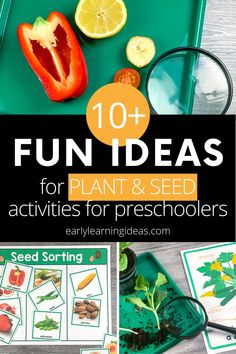 the top ten fun ideas for plant and seed activities for preschoolers to do with each other