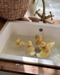 four ducks in a sink with water running down the side and one duckling on the floor