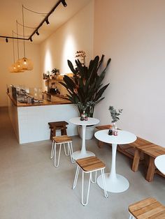 the interior of a coffee shop with tables and stools, plants in pots on the counter