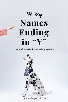 a dalmatian dog sitting on top of a white floor next to a woman