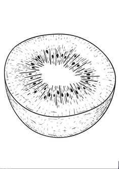 a kiwi fruit sliced in half on a white background with black dots around it