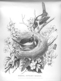 two birds sitting on top of a nest in the middle of flowers and leaves,