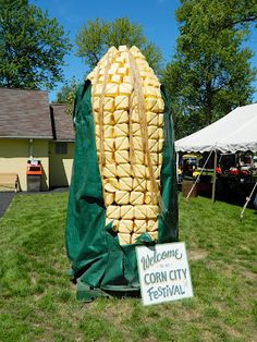 corn on the cob is displayed in front of tents