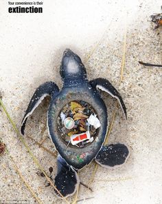 an image of a turtle that is in the sand with trash on it's back