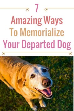 a dog with its mouth open and the words 7 amazing ways to memorialize your depared dog