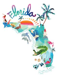 the map of florida with tropical animals and palm trees