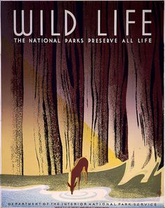 a poster with the words wild life in front of some trees and a deer walking through it