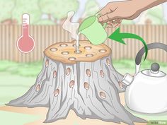 a person pouring water into a teapot on top of a stump