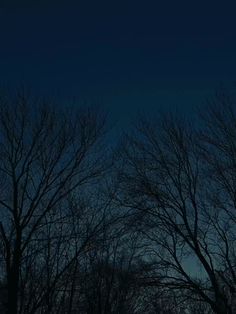 the sky is dark and blue with no leaves on it, as well as bare trees