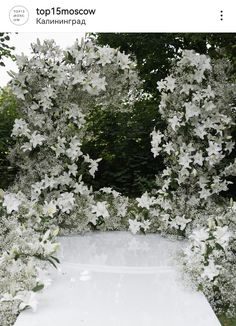 white flowers are growing over the top of an empty table in front of some trees