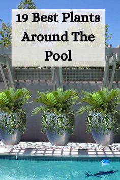 a pool with plants in it and the words, 19 best plants around the pool