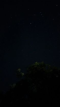 the night sky is full of stars and some trees in front of it with no lights on