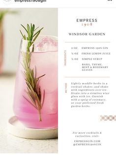 a pink cocktail with rosemary garnish on the rim