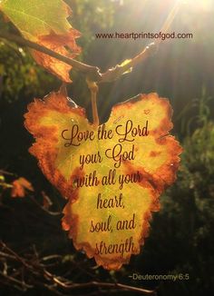 Fall Scripture, Fall Bible Verses, Study Scripture, Encouraging Scripture, Daily Living