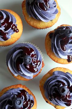 blueberry cupcakes with frosting and berries on top are arranged in a circle