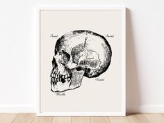 a black and white drawing of a human skull