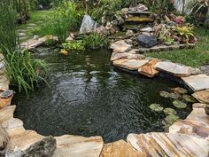 a garden pond with rocks and plants surrounding it