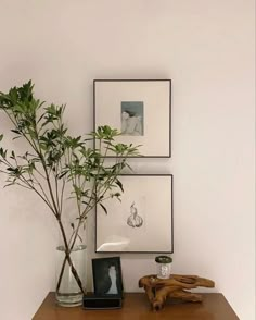 there is a potted plant on the table next to two pictures and a vase