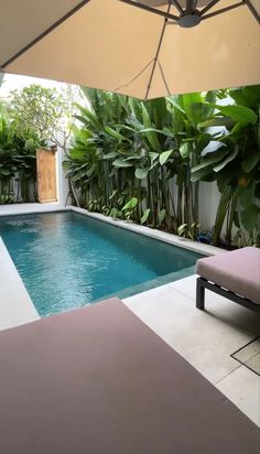 an outdoor swimming pool surrounded by greenery and a patio umbrella over it's head