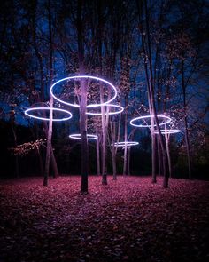 an artistic sculpture in the middle of a forest at night