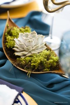 a succulent plant is sitting on top of a leaf shaped plate with moss